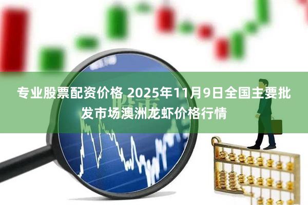 专业股票配资价格 2025年11月9日全国主要批发市场澳洲龙虾价格行情
