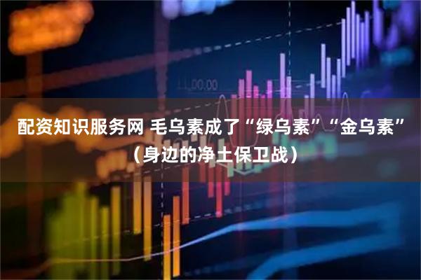 配资知识服务网 毛乌素成了“绿乌素”“金乌素”(身边的净土保卫战)